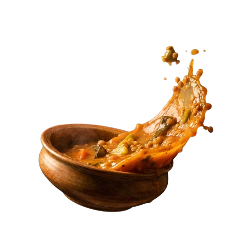 Sambar Splash